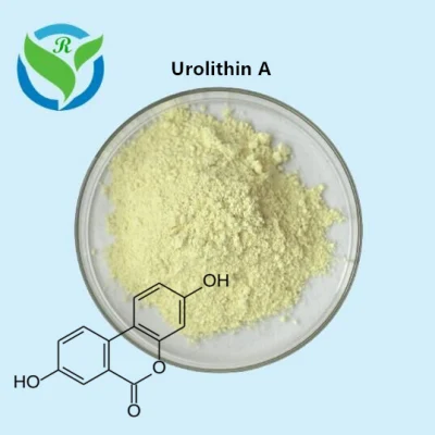 Intermediários Farmacêuticos API Anti